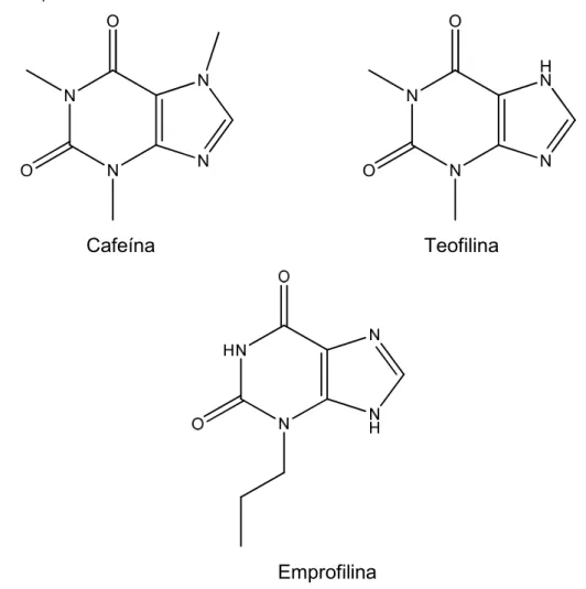 Figura 12. Compostos da classe das xantinas 