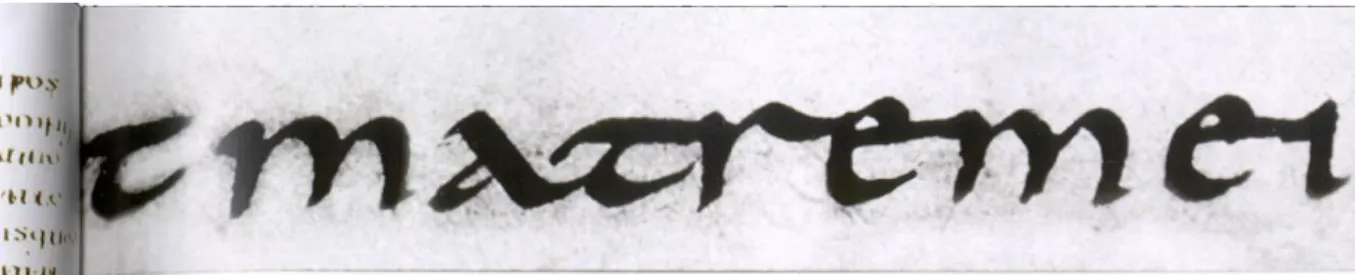 Fig. 14: Minúsculas Carolíngias 