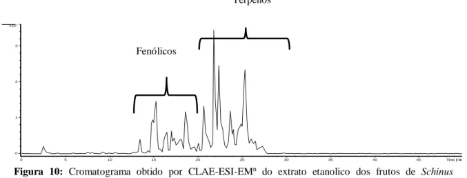 Figura  10:  Cromatograma  obtido  por  CLAE-ESI-EM n   do  extrato  etanolico  dos  frutos  de  Schinus  terebinthifolius Raddi 