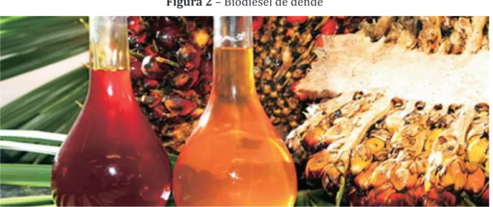 Figura 2  – Biodiesel de dendê