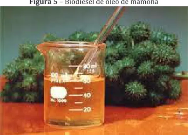 Figura 5  – Biodiesel de óleo de mamona