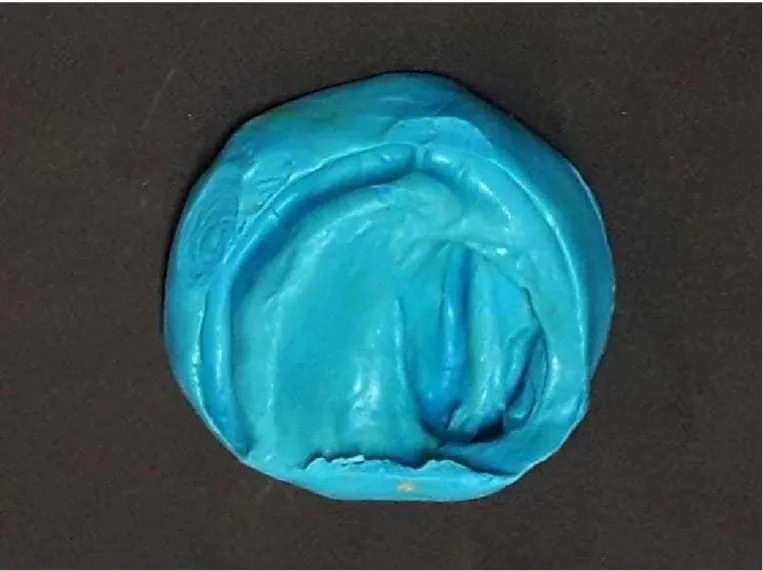 Figura 4: Molde interno.