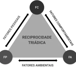 Figura 1 - Reciprocidade Triádica
