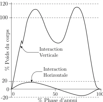 Figure 1.6: Forces d'interaction entre le pied et le sol durant la phase d'appui.