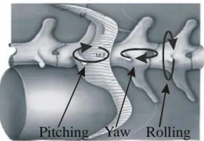 Fig. 2: Rolling, pitching and yaw angles of vertebrae 