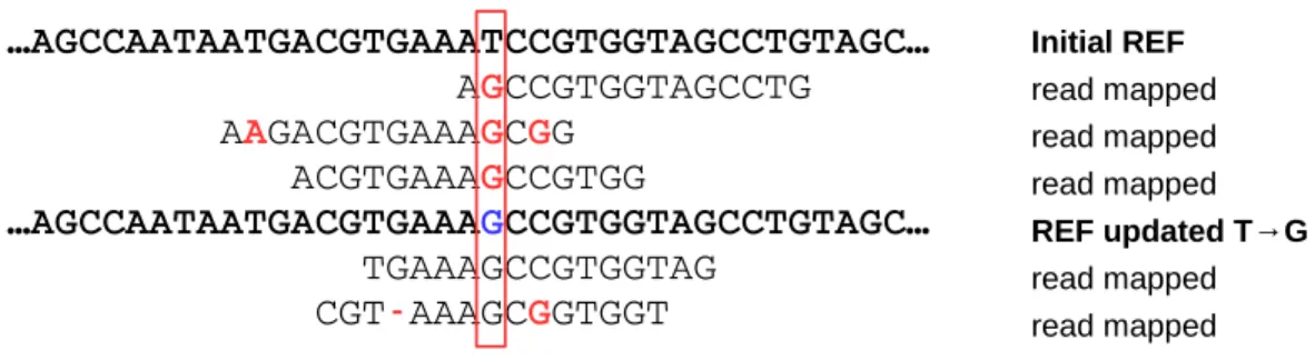 Figure 1. Demonstration of idea of dynamic mapping. In dynamic mapping, reference sequence is updated according to already mapped reads