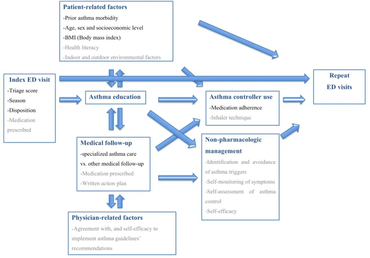 Figure 1. Conceptual framework of factors associated with pediatric asthma-related emergency visits 