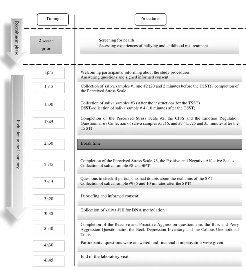 Table II.  Illustration of the research procedures 