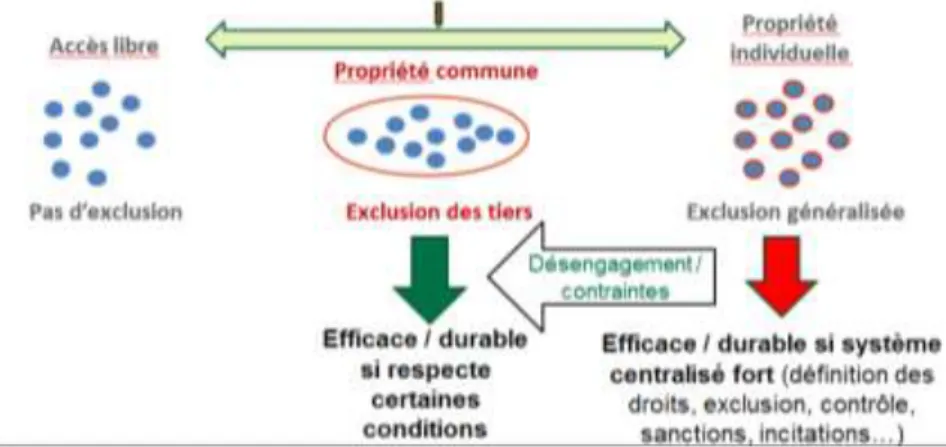 Figure 2 : Accès libre, propriété commune et propriété individuelle 