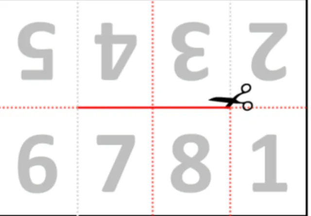 Figure 1: A picopoly as a flat sheet