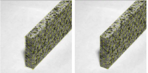 Figure 8: Comparison between initialisation and convergence states of the specimen shape