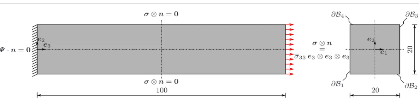 Fig. 5 Geometric dimensions (in mm) and boundary conditions of the rectangular bar under tension.