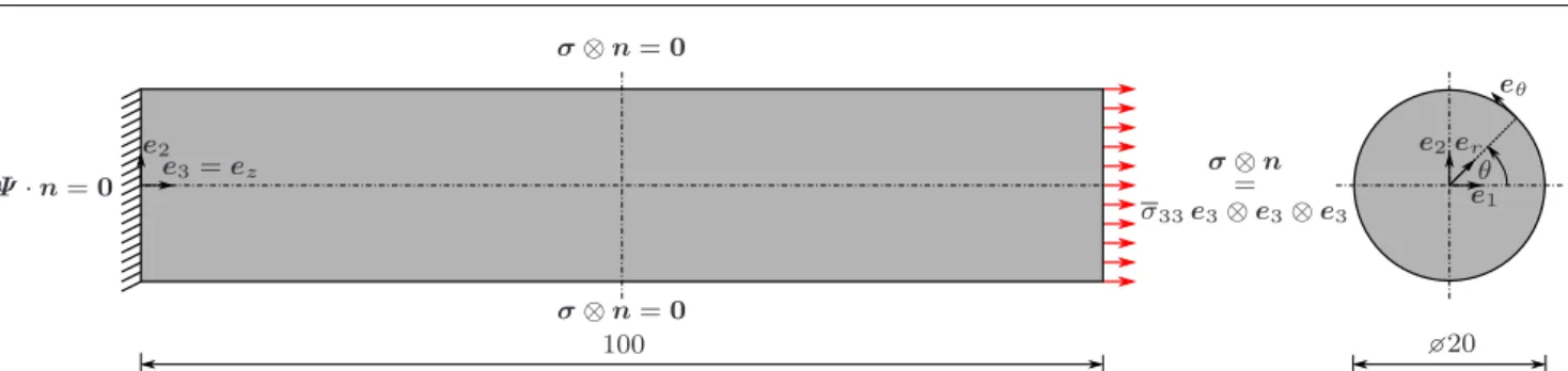 Fig. 1 Geometric dimensions (in mm) and boundary conditions of the cylindrical bar under tension.