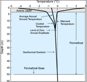 Figure 2. Illustration de la dynamique thermique typique du pergélisol selon la profondeur