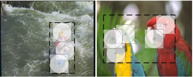 Fig. 4: Exemples de miniatures centr´ ees sur les zone saillantes: (a) image Kayak avec trois max- max-imums locaux et (b) image Perroquets avec cinq maximum locaux