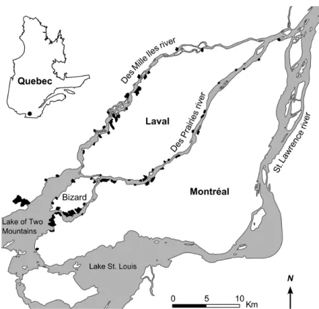 Figure 3.1. Location map of the 57 riparian forests (in black) sampled in the Greater Montreal region