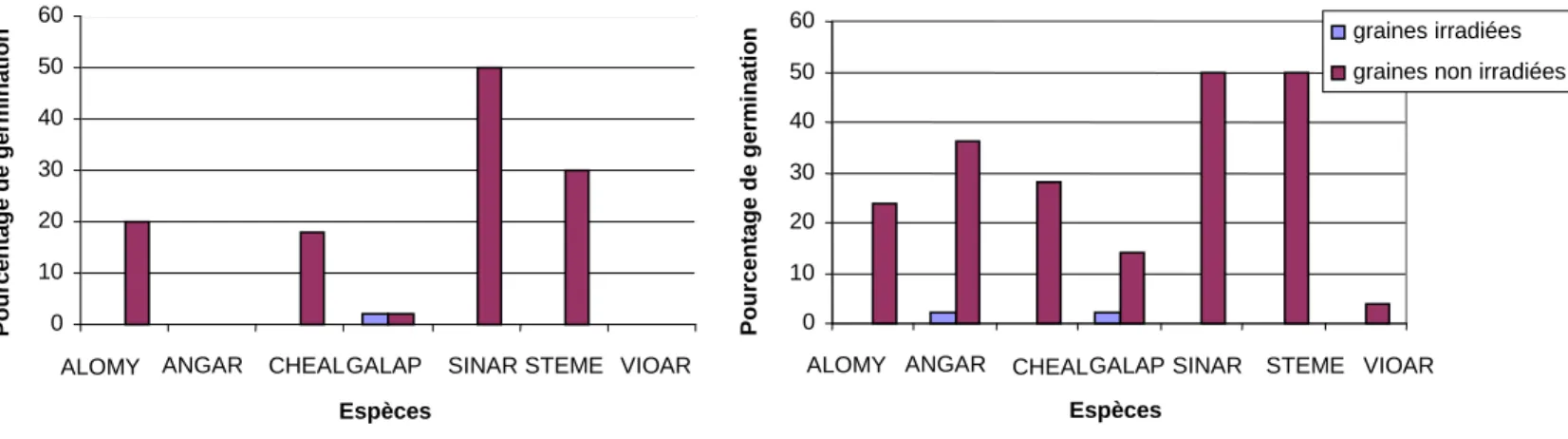 Figure 3 : Pourcentage de germination des graines de 8 espèces adventices irradiées ou non, placées A) en  chambre de culture à 20-25°C pendant 14 jours, B) en terrines et en plein air, pendant 28 jours