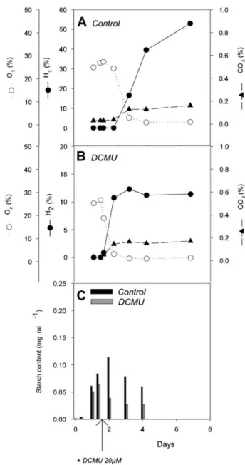 FIG. 2. Effects of retarded DCMU addition on H 2 production, O 2 , CO 2 exchange, and starch accumulation in sulfur-deprived  Chlamydo-monas cells