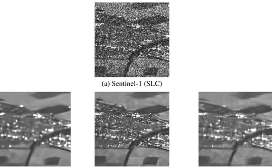 Fig. 2. Restoration of the single-look Sentinel-1 image shown in (a) with deep-learning methods illustrative of the 3 training strategies shown in Fig.1: (b) SAR2SAR [1] uses a supervised training strategy (here, the training is performed on synthetic spec