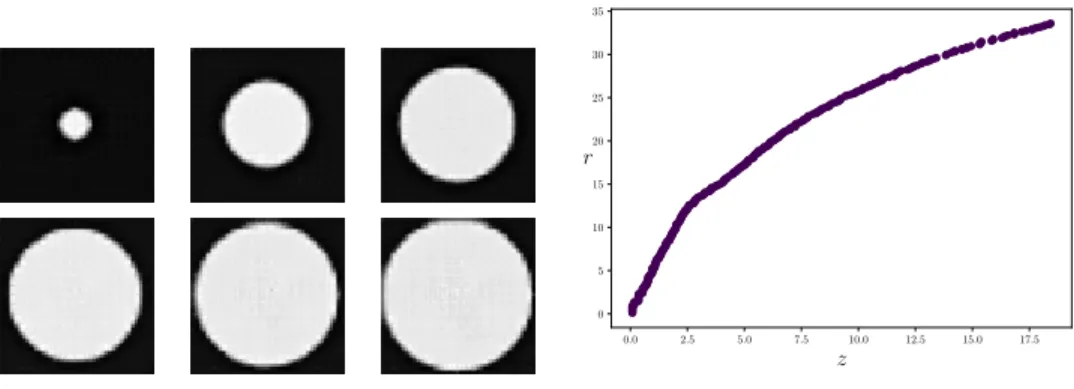 Figure 2: Investigating the latent space in the case of disks. On the left side, we have interpolated z in the latent space between two encoded input disks (one small and one large), and show the decoded, output image