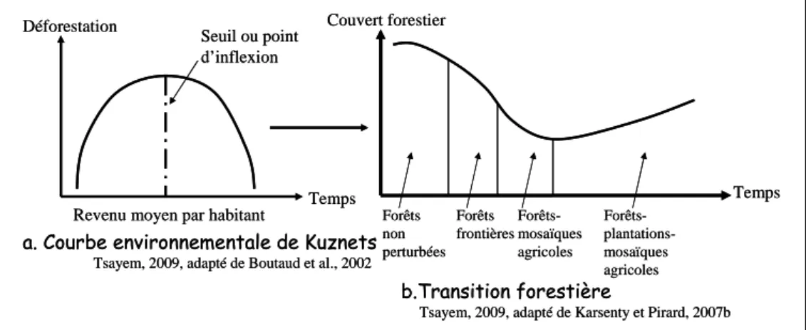 Figure 4. La courbe environnementale de Kuznets adaptée aux forêts  tropicales 