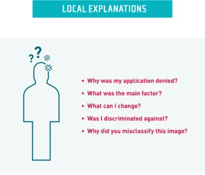 Figure 5: Overview of local explanations