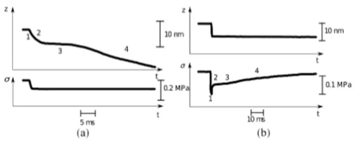 FIG. 1: Schematic representation of the transient response of a skeletal muscle subjected to an abrupt (a)