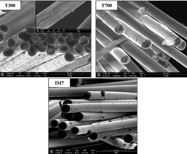 Figure 2. 1: Observations MEB pour la mise en évidence de la morphologie des fibres de carbone :  Etat de surface