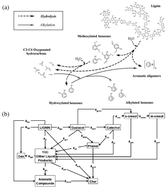 Figure 1-16. Exemples de schémas réactionnels de conversion hydrothermale de la lignine   (a : Barbier et al