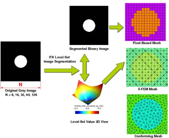 Figure 2: Voxel-based FEM and X-FEM modeling procedure