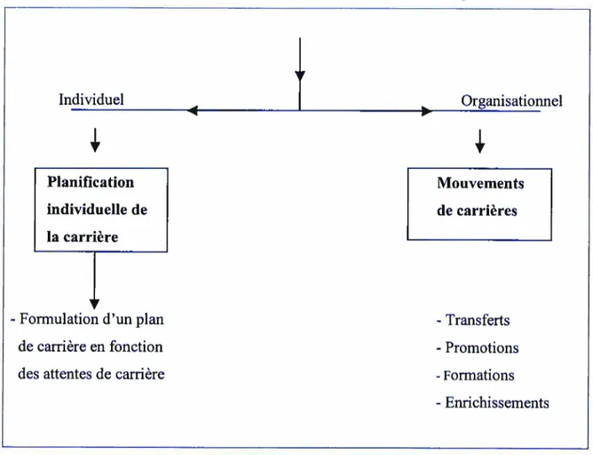 Tableau 9 - Programme de développement de carrière