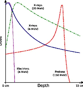 Figure 2-2 : Distribution de la dose déposée dans le corps en fonction de la profondeur en cm  pour des rayons X (4 MeV et 20 MeV), des électrons (4 MeV) et des protons (150 MeV) [10] 