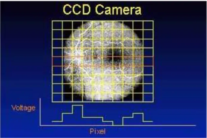 Figure 10- La visualisation d’image par une caméra CCD  http://www.opsweb.org/?page=digitalimaging  