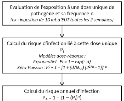 Figure 13 : Méthodologie générale de l'EQRM (n : fréquence d’exposition ; d : dose reçue  à  chaque  exposition ;  N50 :  dose  infectieuse  médiane ;  α  et  r :  constantes 