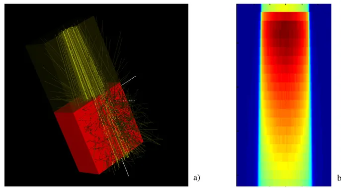 Figure 2.3: Calculs Monte Carlo, a) propagation d’un faisceau de photons (en jaune) dans un fantôme d’eau (en rouge), b) coupe 2D de la distribution de dose déposée par le même faisceau teractions doivent être simulées explicitement