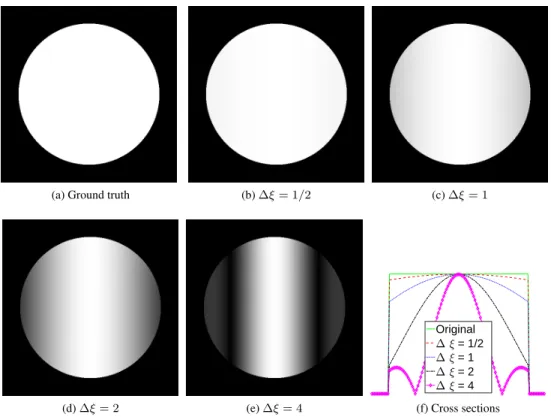 Figure 1: The integration effect with a Cartesian sampling. Note: the images might be complex valued, and we only display their modulus