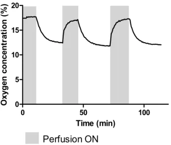 Figure 3. Representative oxygen concentration in the center of a Si-HPMC 2% construct with  microchannels seeded with a cell density of 8 million cells/mL and subject to perfusion cycles until  recovery of oxygen concentration