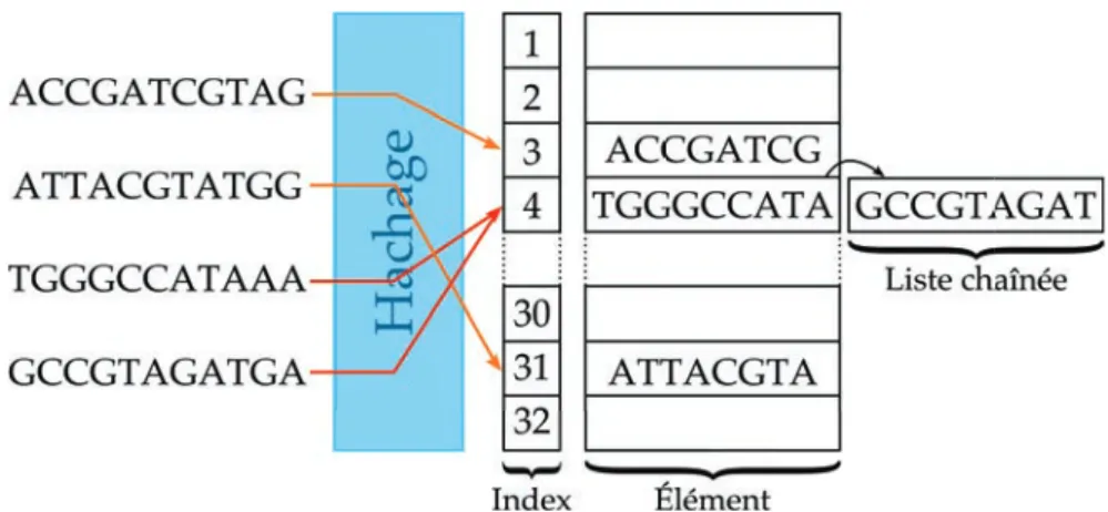 Figure 10: Représentation d’une table de hachage stockant la présence de plusieurs séquences
