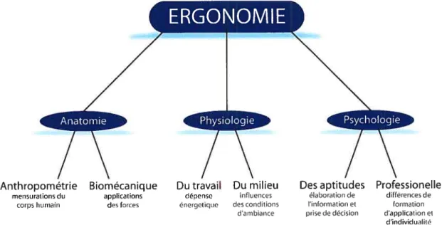 Figure 3.2 Diagramme ergonomique, d ‘après Singleton-1974