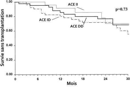 Figure  11.  Survie  sans  transplantation  selon  le  génotype  I/D  du  gène  ACE  chez  des  patients  traités avec un bêta-bloqueur