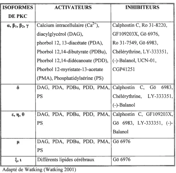 Tableau II. Activateurs et inhibiteurs pharmacologiques des différentes isoformes de PKC
