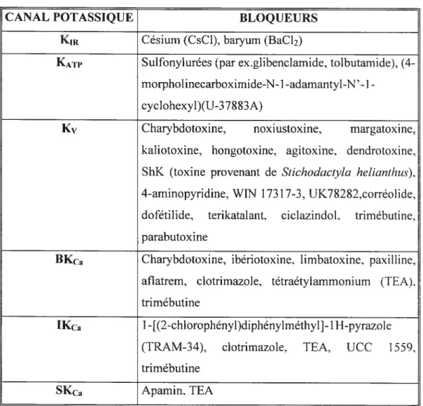 Tableau IV. Bloqueurs des canaux potassiques (Geeson et al. 2002; Zygmunt et al. 1997; Petersson et al