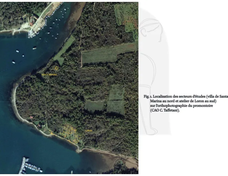 Fig. 1. Localisation des secteurs d’études (villa de Santa  Marina au nord et atelier de Loron au sud)   sur l’orthophotographie du promontoire   (CAO C