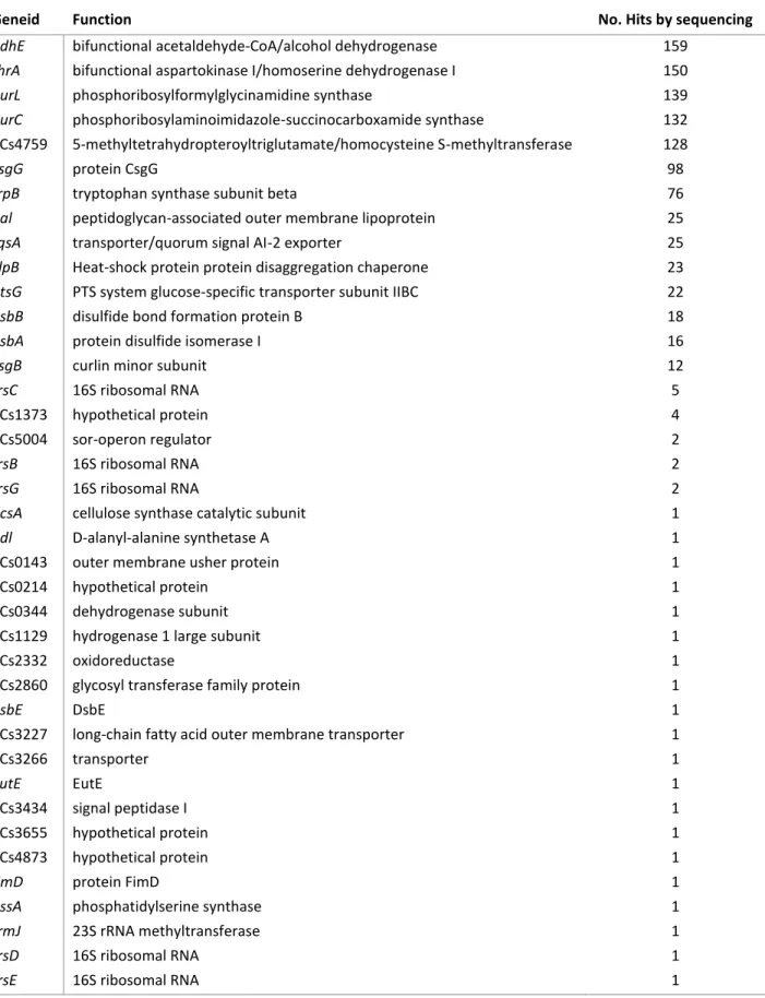 Table  3.  List  of  genes  interrupted  by  the  Tn10  mini-transposon  according  to  high- high-throughput sequencing results