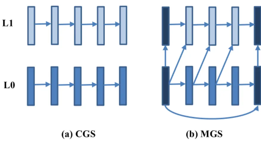 Figure 2.5. Différence entre CGS et MGS 