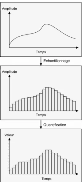 Figure 3.1. Echantillonnage et Quantification d’un signal analogique 