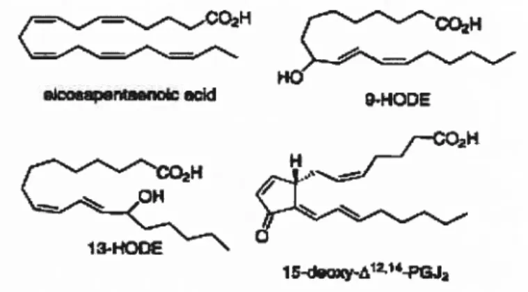 Figure 5. Structures de quelques ligands naturels des PPARgamma