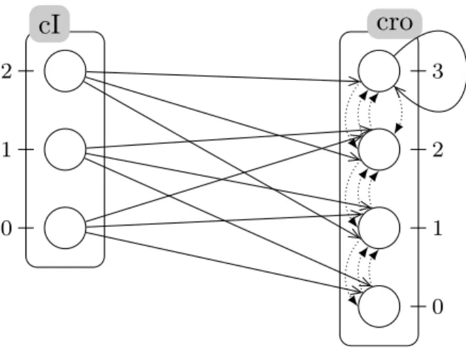 Figure 6: A portion of the PH model used in this section modeling the phage lambda immu- immu-nity response
