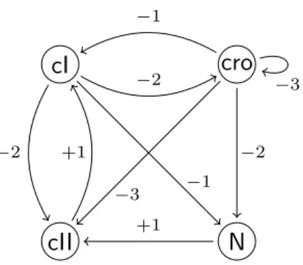 Figure 7: Result of the IG inference performed on the Process Hitting model of the phage lambda immunity response taken from [34].