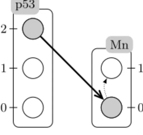 Fig. 2. Example of a Process Hitting action. Here, we show sorts p53 and Mn, boxes which contain processes